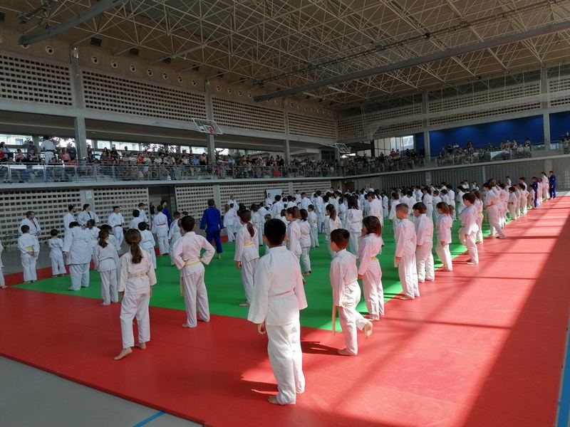 JUEGOS INFANTILES DE JUDO. PAMPLONA 31-05-25. FOTOS.